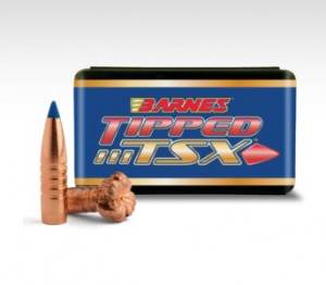 Barnes Geschosse .366 / 9,3mm, 250gr TSX BT